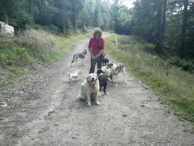 Pension Canine Chez Sophie