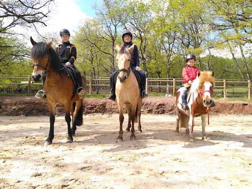 Centre Equestre - Domaine de Maucat
