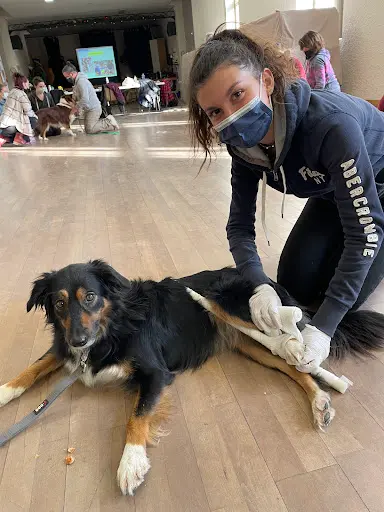 My Peps Éduc - Comportementaliste Canin