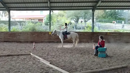 Granite Mountain Stables