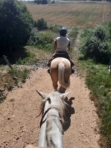 Les Ecuries de l'Aventure, Ferme Équestre.