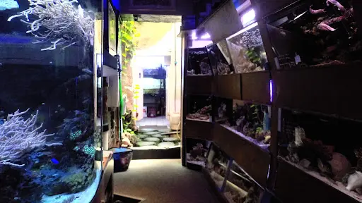 Scandia Aquariums