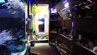 Scandia Aquariums