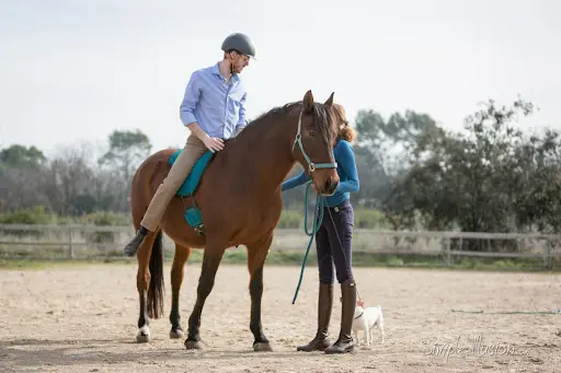 Les Chevaux d'Anahata
