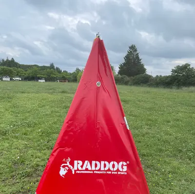 Raddog France