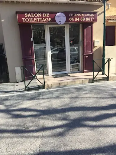 Salon de Toilettage