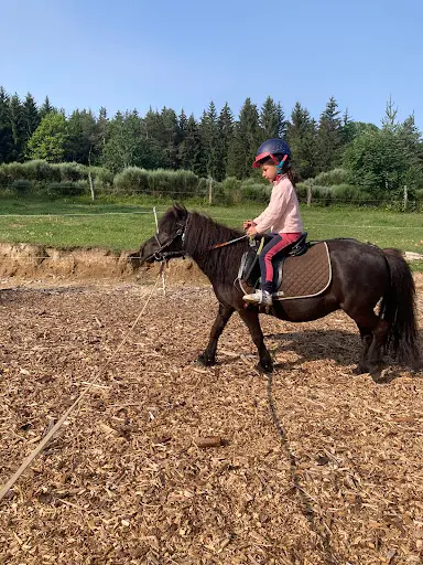 Pray d'Aunay Équitation