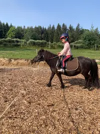 Pray d'Aunay Équitation