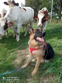 Natur Canin : Éducation Canine