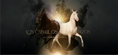 Los Caballos Del Corazón