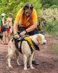 Bas les Pattes : Éducatrice Comportementaliste Canin et Pet Sitter