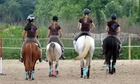 Poney Club du Rêve