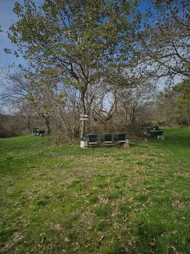 Club Canin Aoc le Creusot