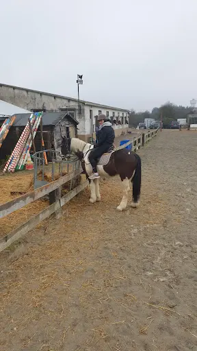 Cavalcade