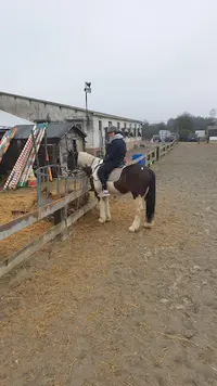 Cavalcade