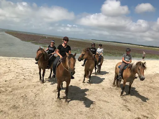 Les Centaures de la Baie de Somme