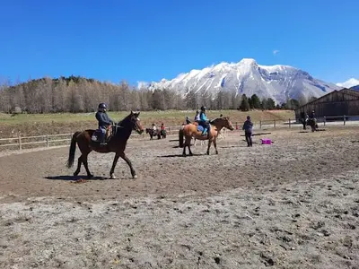 Centre Equestre