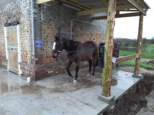 Pension de Chevaux de l'Elev Haras