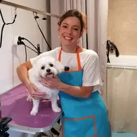 Amour des Chiens