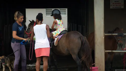 Equi Libre Centre Equestre