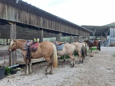 Écurie des 4 Lacs