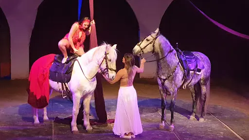Cabaret Equestre de Camargue