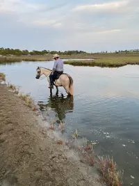 Ecurie Camarguaise