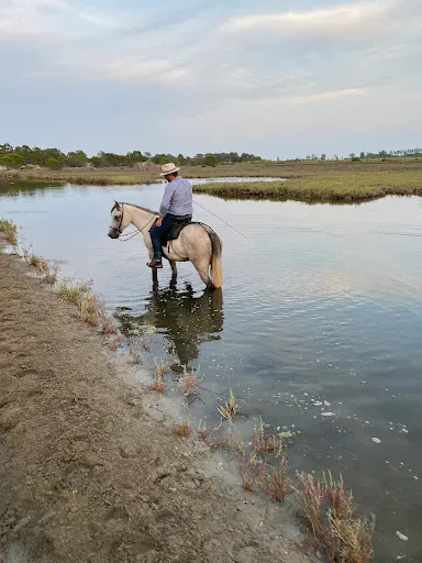Ecurie Camarguaise