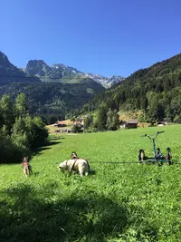 Elevage Canin - Clos de la Vallée Blanche - Isère