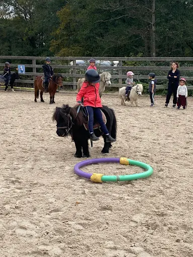 Jtm Élevage et Poney Club du Haut Bois