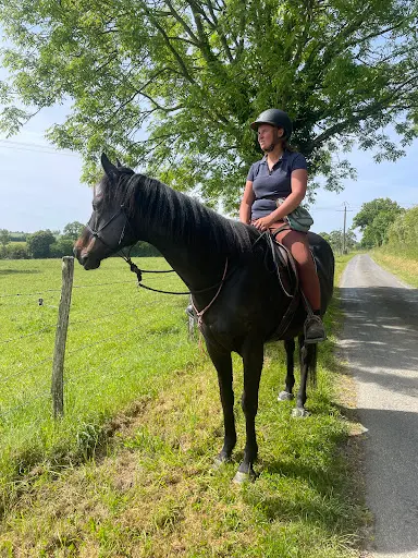 Cheval Goude