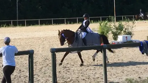 Écurie des Monts - le Hom Equitation