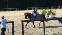 Écurie des Monts - le Hom Equitation