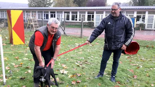 Club de Chiens du Houlme