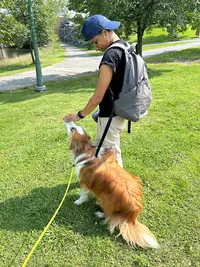 Sherbrooke Dog Academy - Martinique