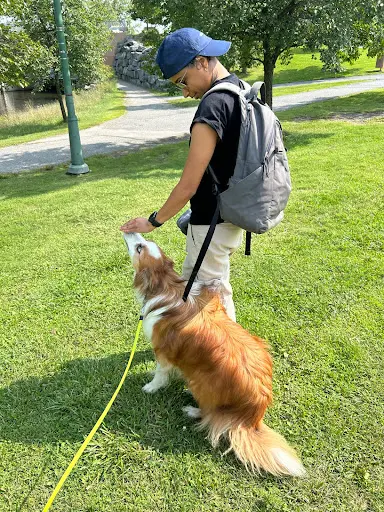Sherbrooke Dog Academy - Martinique