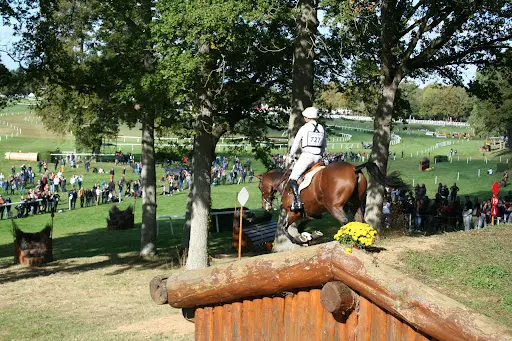Le Lion Equestre - Mondial du Lion