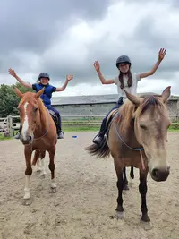 Art Crac Équitation - Céline Legendre