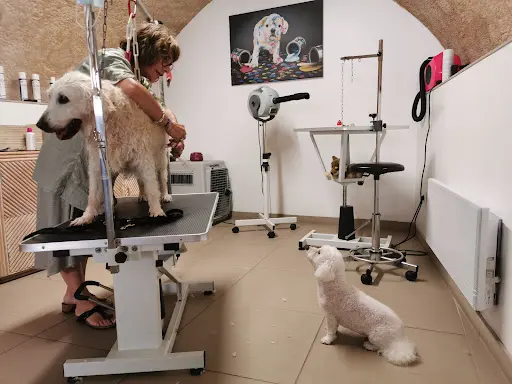 En Un Tour de Pattes Salon de Toilettage
