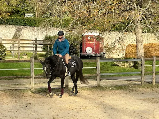 Haras des Cordeliers