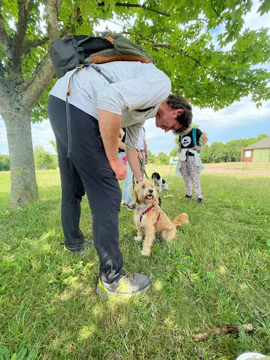 Liberty Dog Educateur Canin le Mans/vendome