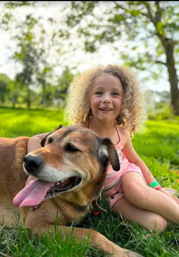 Pension Pour Chien du Centre Canin des Vallons de la Sée
