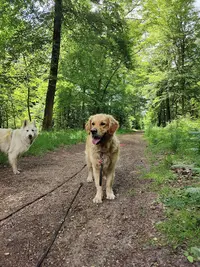 Happy Paws Educatrice Canin