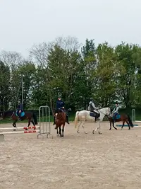 Poney Club des Louveaux