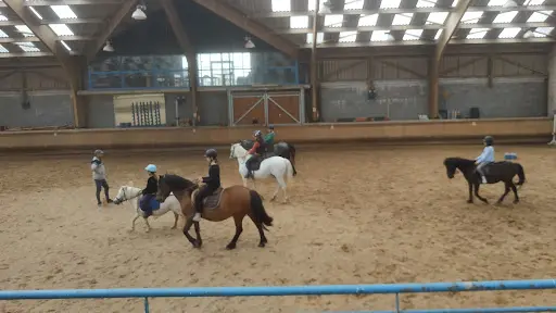 Domaine de Combelles Centre Équestre, Équitation