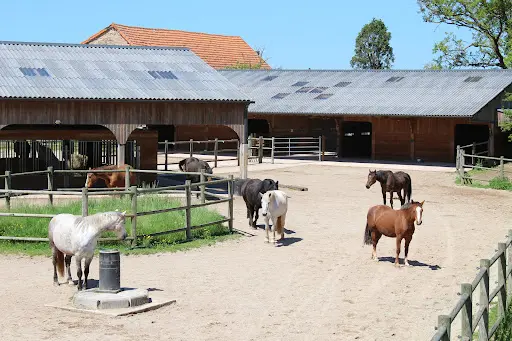 Ferme Equestre de Randeynes