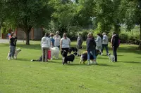 Dauphiné Education Canine