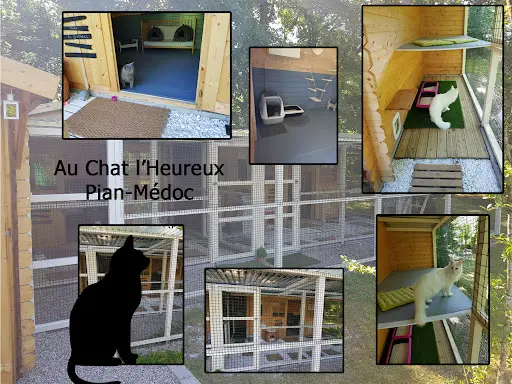 Au Chat l'Heureux
