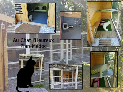 Au Chat l'Heureux