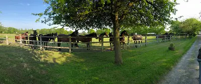 Haras du Bois Margot